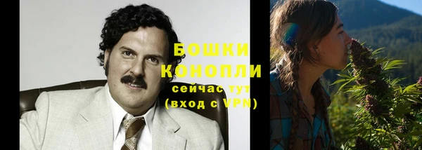 спайс Верея