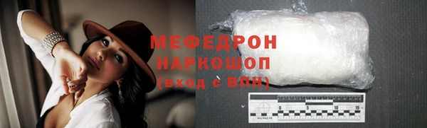 гашик Ельня