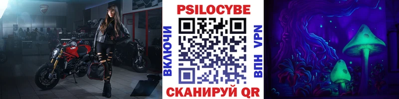 Псилоцибиновые грибы Cubensis  наркота  omg рабочий сайт  Дудинка 